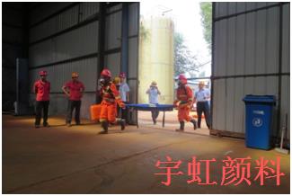 宅男在线视频网颜料6