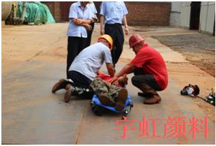 宅男在线视频网颜料9